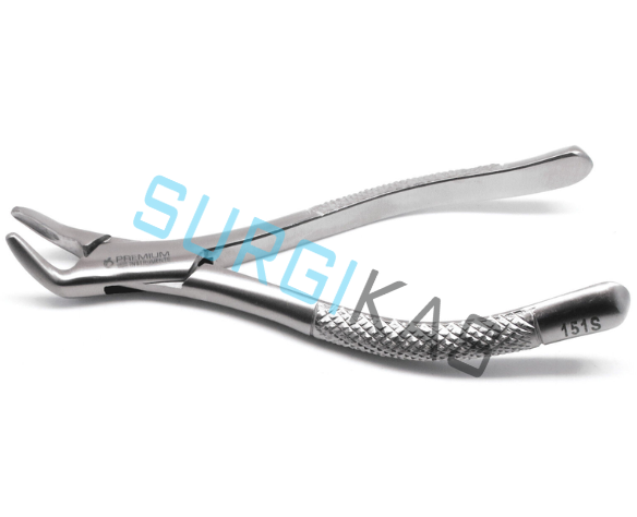 Dental Extracting Forceps 151s Surgical Tooth Extraction 6″ Premium Instruments