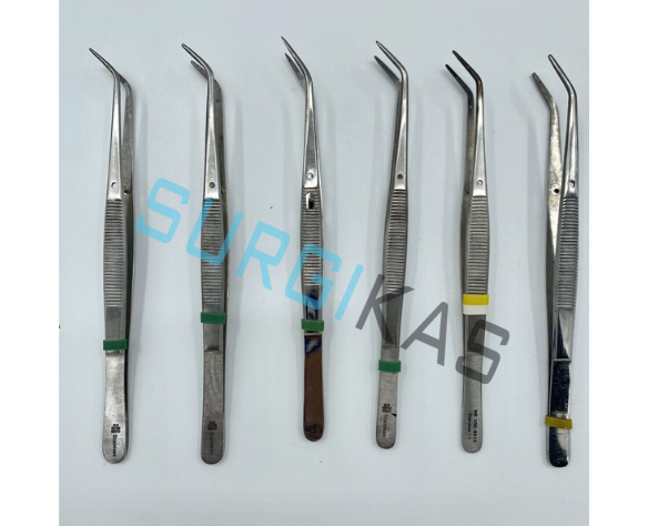 6 Cotton Pliers College Dental Surgical Instruments